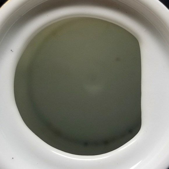 VINTAGE VICTORIA AUSTRIA PORCELAIN TEAPOT HAND PAINTED GOLD TRIM - Picture 9 of 16